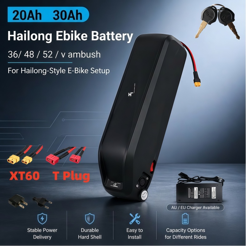 Ebike Battery 48V 20Ah Hailong - Veelzijdige Hailong-batterij, multi-voltage 36V 48V 52V