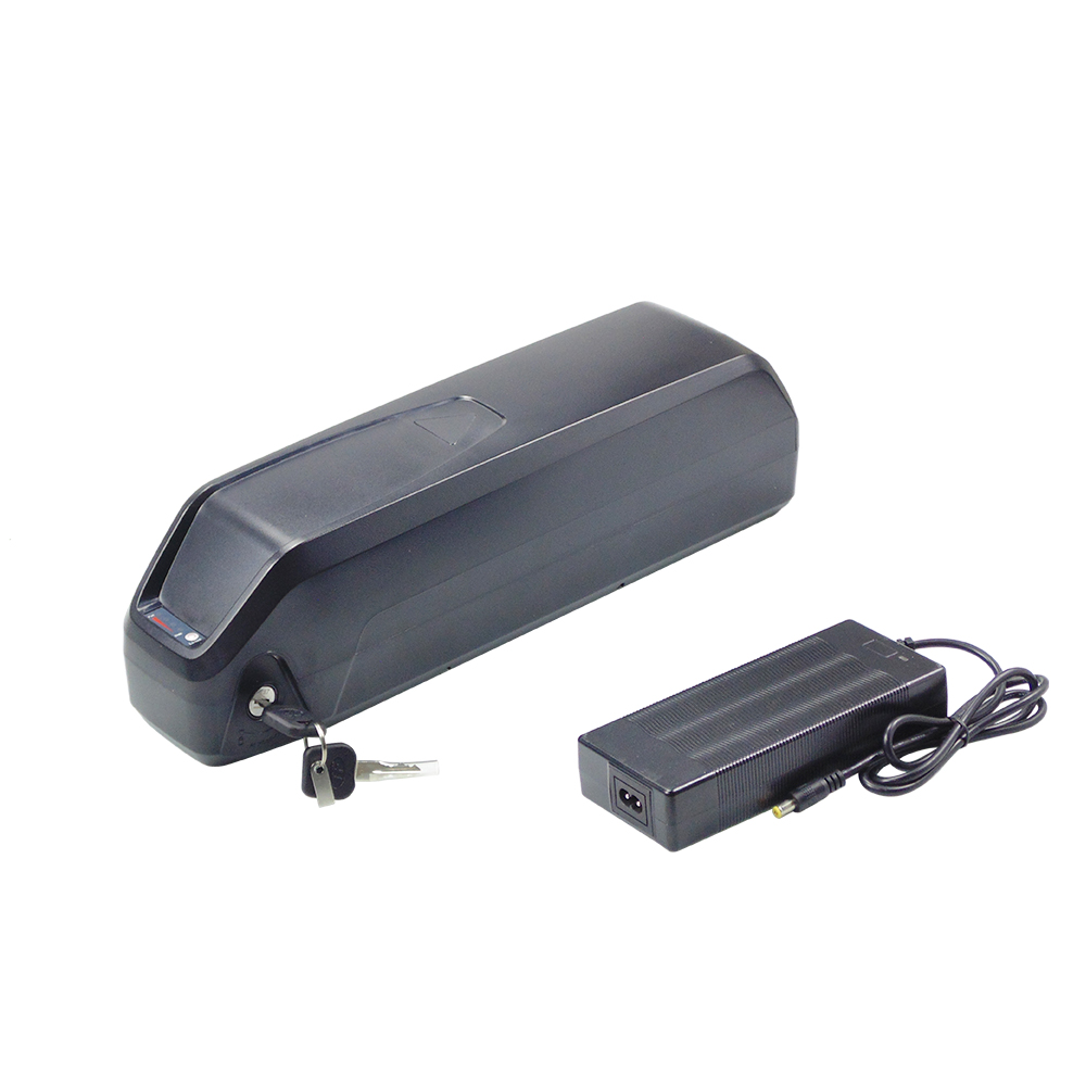 Hailong 48V 13Ah 15Ah 17.5Ah E - Ebike Battery 48V 20Ah Hailong recensie en prijs